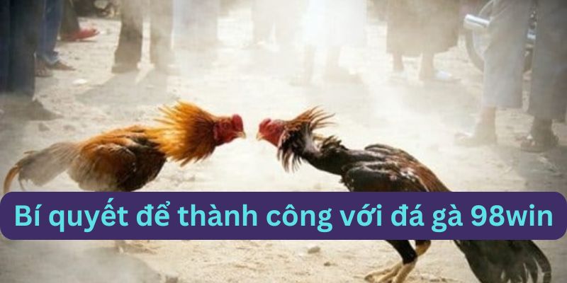 Bí quyết thành công từ đá gà 98win