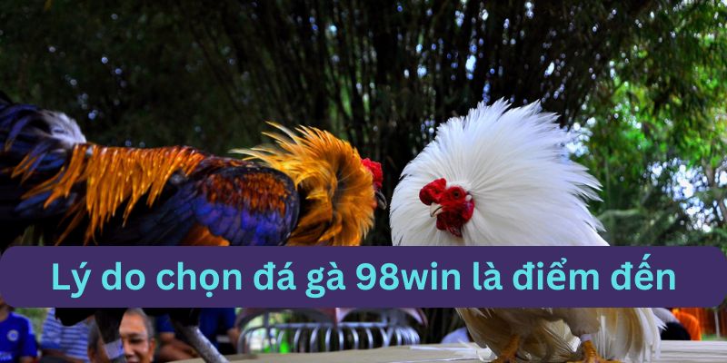 98win là điểm đến ưa chuộng của hội viên