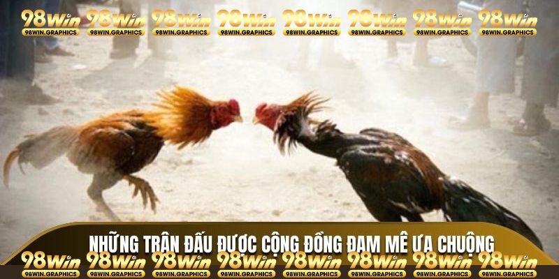 Sảnh chơi cung cấp nhiều loại hình