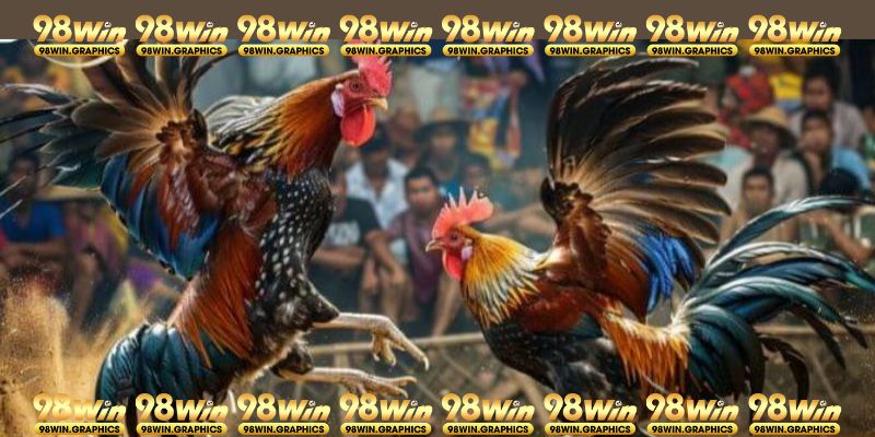 Lý do nên tham gia chọi gà Thomo 98WIN online là gì?